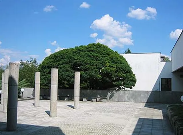 Memory in Memory s.r.o.